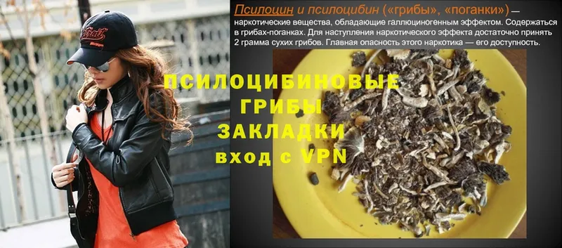 Псилоцибиновые грибы Psilocybe  Лянтор 